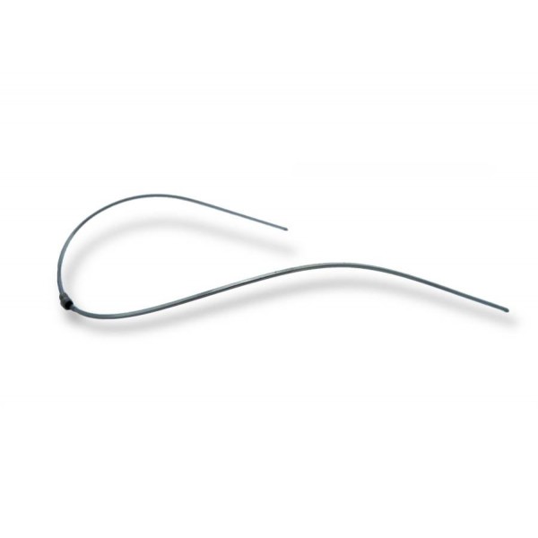 curve of spee