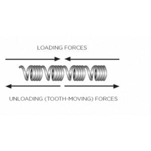 Nitinol Molar Distilizing Spring (15" spool)