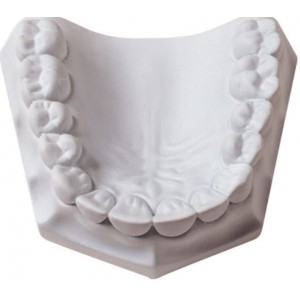 ORTHO-STONE - Super White (25lbs)