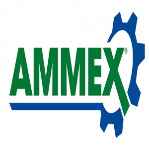 Ammex Store