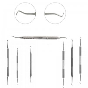 Carvers / Cleoid-Discoid