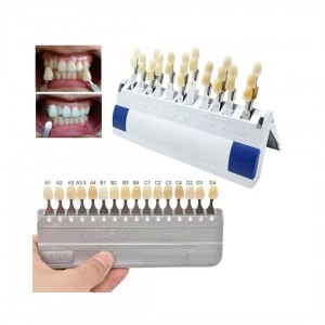 Dental Shade Guides - page 65