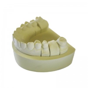 Die and Model Fabrication