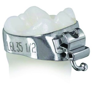 Molar Bands