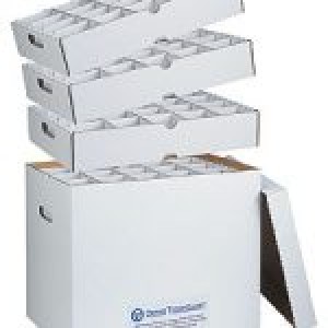 Ortho Technology Organizers / Ortho Model Archival System