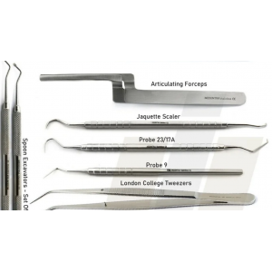 Tamsco Crown & Bridge