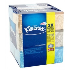 Everyday Facial Tissues, 160 Tissues per Flat Box, Pack of 6