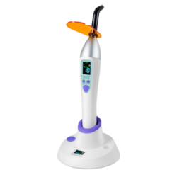 p-item-1