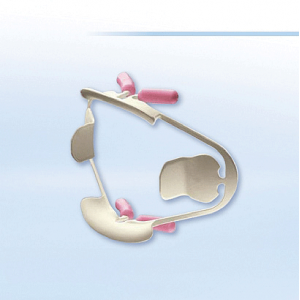 Comfortview Cheek Retractor Universal 2/Bx