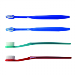 Toothbrush Economy Compact 72/Cs - DC Dental