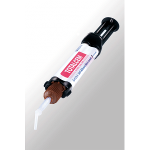 TotalCem Syringe 8gm Translucent