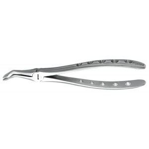 Extracting Root Tip Lower  PX325L