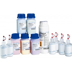 Orthocryl ® Neon Assortment - Powder - 1 assortment