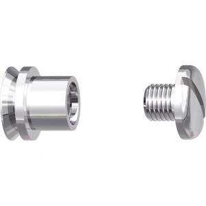 Slotted Screw With Pivot - 10 pairs