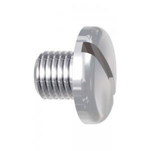 Slotted Screw - 10 pieces