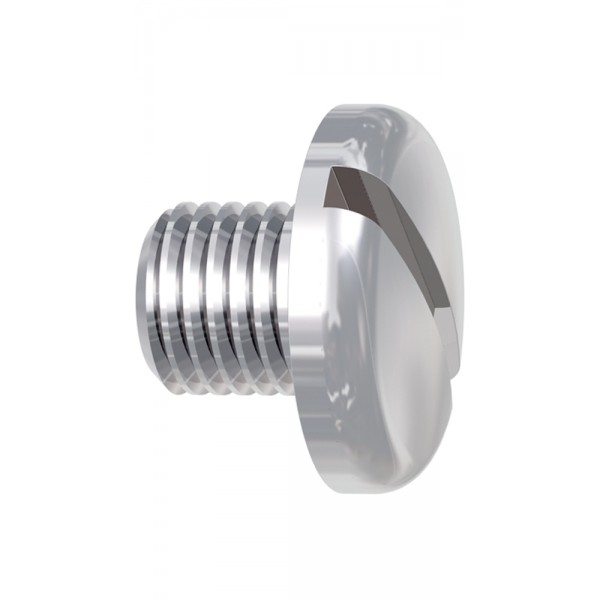 Slotted Screw - 10 pieces
