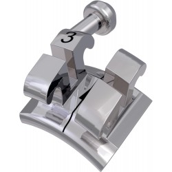 p-item-1