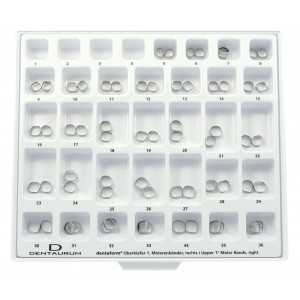 Mini-Assortment Dentaform® Bands, 1st Molar, Unwelded - 64 Pieces