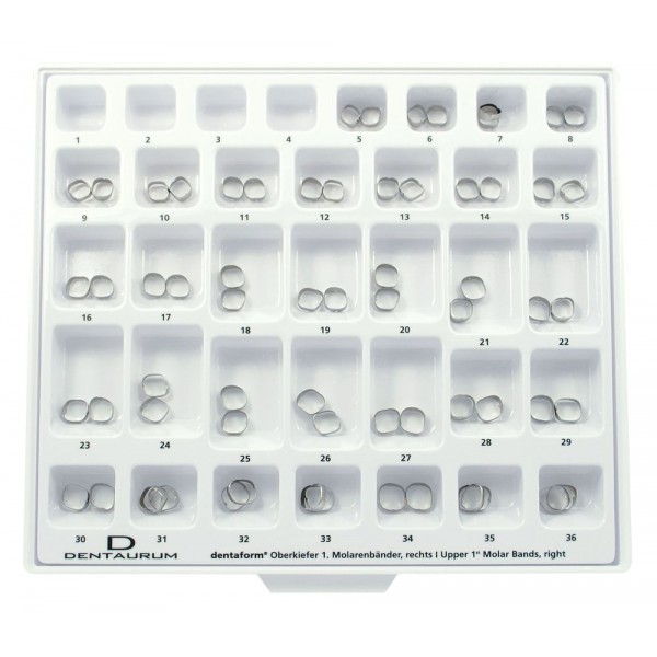 Mini-Assortment Standard Bands, Cuspid, Mandibular, Unwelded - 42 Pieces
