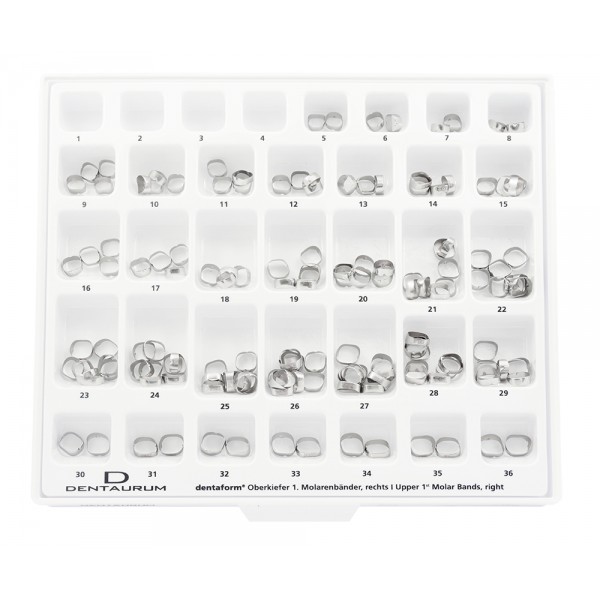 Assortment Dentaform® Bands, Unwelded