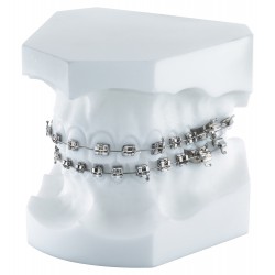 p-item-1