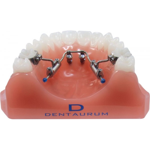 Orthodontic Demonstration Model Tomas ® /Amda ®