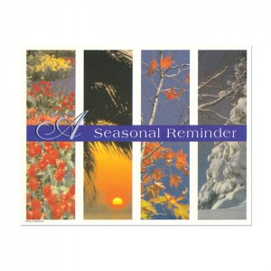4 Seasons Postcard - Single image - 250/pk