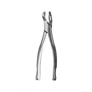 Extraction Forcep #53R American Pattern