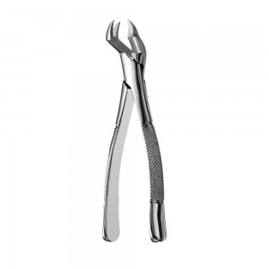 Extraction Forcep #88R American Pattern