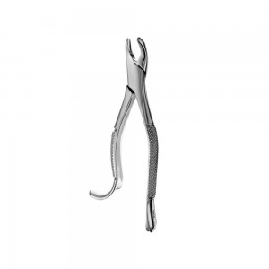 Extraction Forcep #18R American Pattern