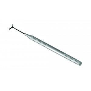 Burnisher Bur #34 Hallow  8mm
