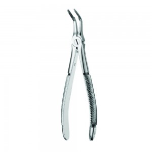 Fig.496L (Extraction Forcep English Pattern)