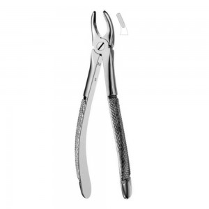 Fig.7 (Extraction Forcep English Pattern)