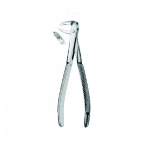 Fig.73 (Extraction Forcep English Pattern)
