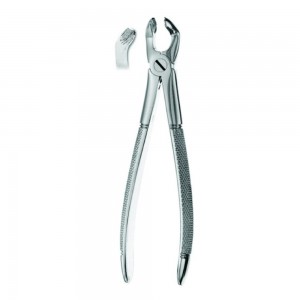 Fig.79 (Extraction Forcep English Pattern)