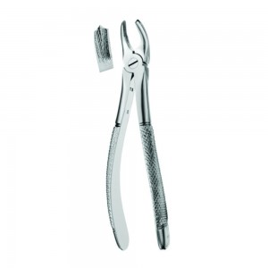 Fig.17 (Extraction Forcep English Pattern)
