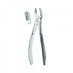 Fig.18 (Extraction Forcep English Pattern)