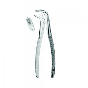 Fig.22 (Extraction Forcep English Pattern)