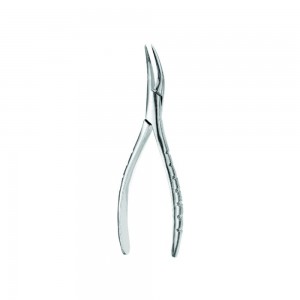 Fig.300 (Extraction Forcep English Pattern)