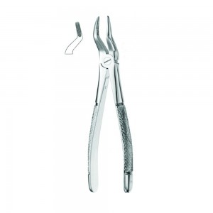 Fig.51 (Extraction Forcep English Pattern)