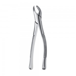 Extraction Forcep #151S Child American Pattern
