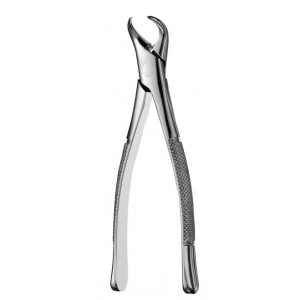 Extraction Forcep #23 American Pattern