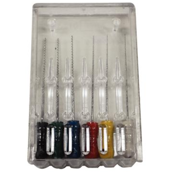 FlexR Files 25mm 1540 Assorted 6/Bx (13424)