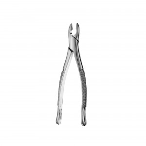 99C Kells Forceps, F99C