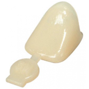 Polycarbonate Crowns, Adult, Lateral, Universal Shade, 5/Pk