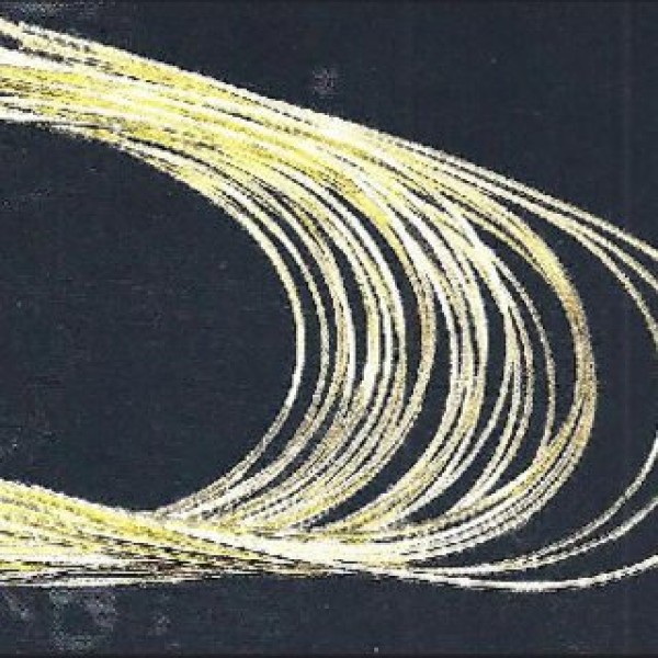 Gold Nitinol Archwires, Natural Form - 10pcs/bag