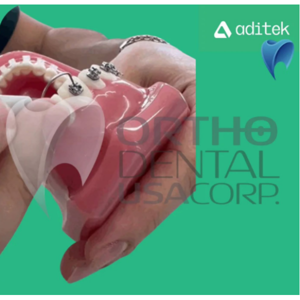 Model for study 7×7 EasyClip+ Passive 022 MBT Hk 3,4,5 w/28 Vector+, BioMax, Ceramic Translux, Sapphire