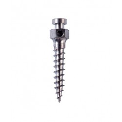 p-item-1