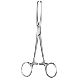Allis Tissue Forcep 4X5 6" - Tamsco