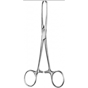 Allis Tissue Forcep 4X5 6"